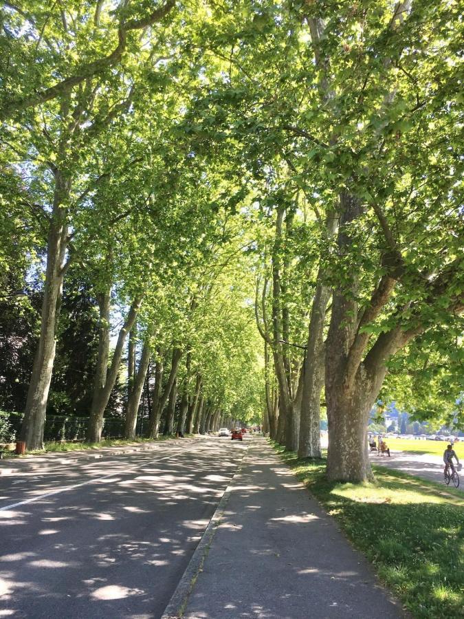 Annecy Center 2 Steps From The Lake Cozy And Renovated! Dış mekan fotoğraf